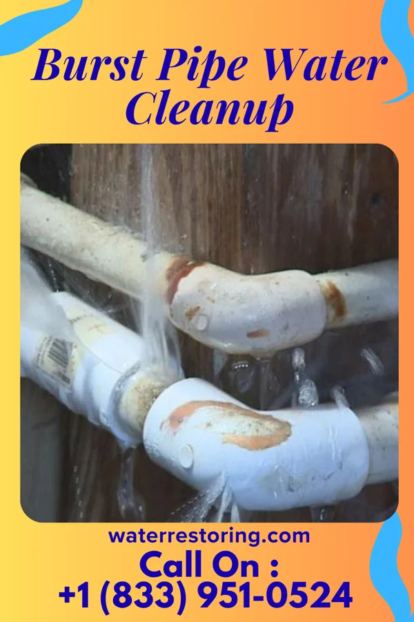 Burst Pipe Water Cleanup in Superior, WY