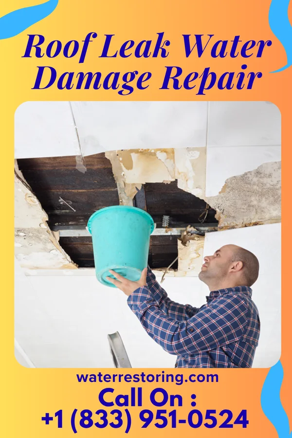 Roof Leak Water Damage Repair in Superior, WY